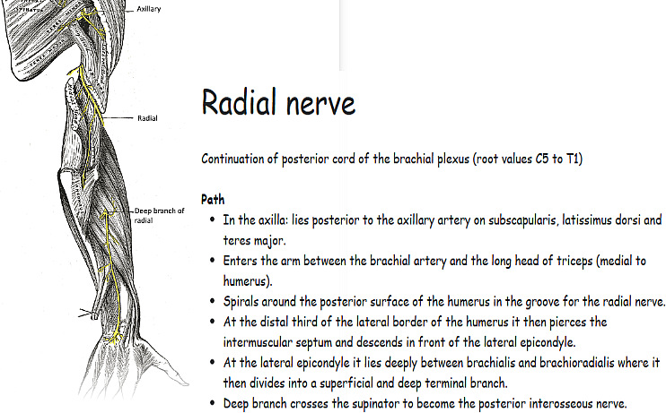 Detailed Explanations
